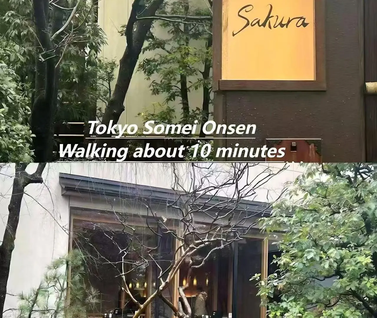 Apartment 4 Sugamo Diamond Mansion Direct To Ikebukuro Yamanote Line 5Mins